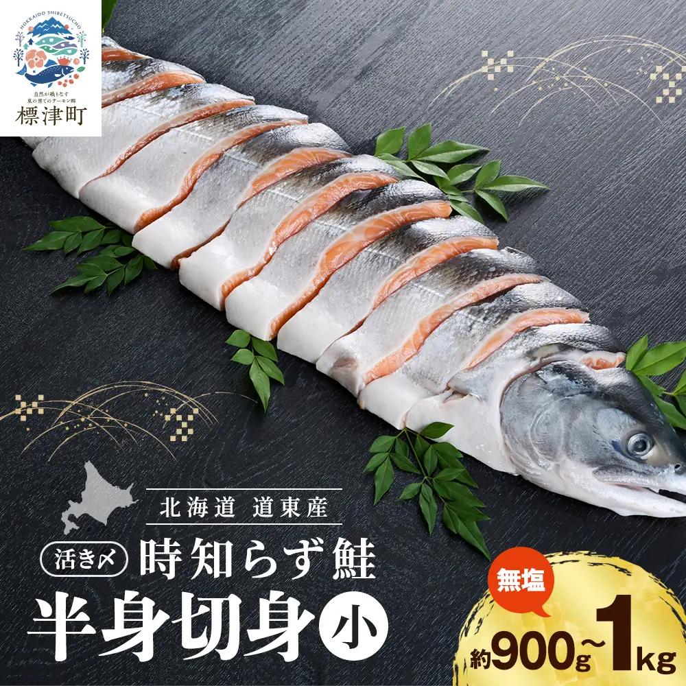北海道道東産　活き〆時知らず鮭半身切身(小)約900g-1kg 北海道 人気 おすすめ さけ 天然_サケ しゃけ ときしらず トキシラズ 冷凍 真空パック 個包装 小分け 鮭切身 切り身 無塩 サーモン_【配送不可地域：離島】【AF009】