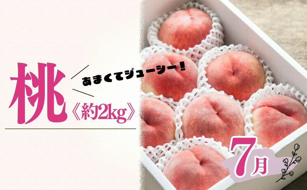 【定期便全3回】産直・厳選フルーツ定期便【TM190】