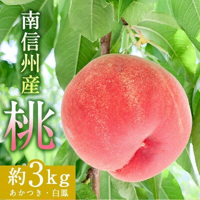 【ふるさと納税】南信州産「桃」約3kg〈あかつき・白鳳〉【2025年7月より順次発送】 | 果物 くだもの フルーツ 柿 桃 もも あかつき 白鳳 長野県 信州 南信州 飯田市 H07