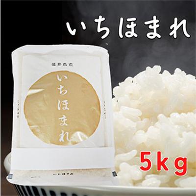 ふるさと納税 若狭町 いちほまれ5キロ(令和7年産)　福井の新ブランド米