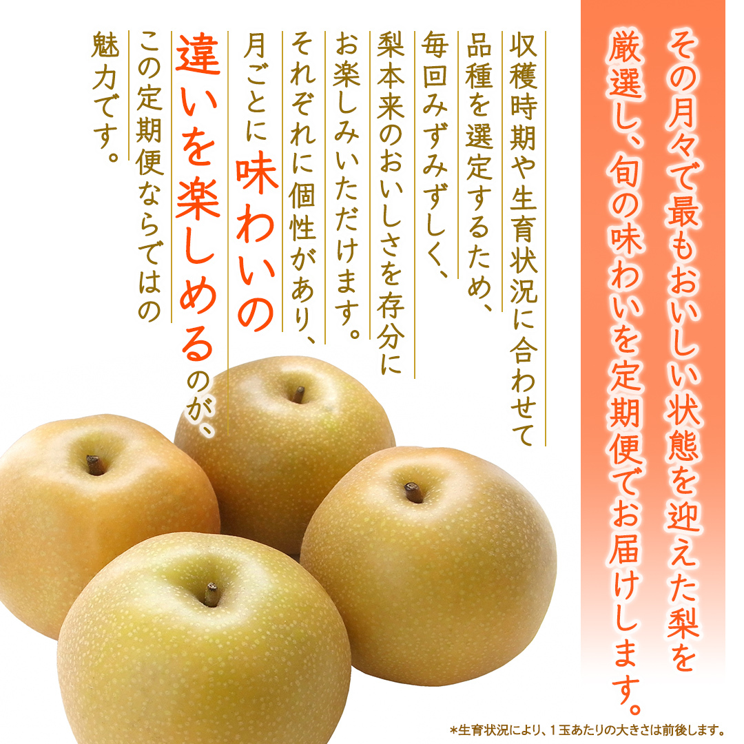 【定期便】3か月連続でお届け！ 旬の梨 おまかせ 約3kg（茨城県共通返礼品 [梨]：大子町産） 高糖度 ギフト 贈り物 プレゼント フルーツ なし ナシ 和梨  梨 果実 旬のフルーツ お取り寄せ 