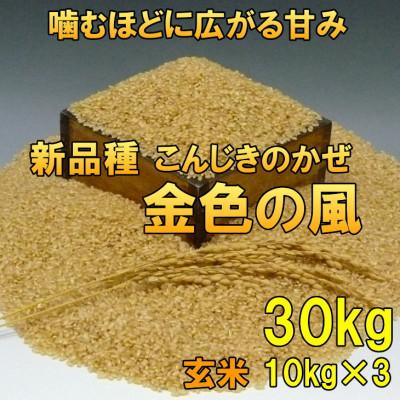 ふるさと納税 奥州市 新米 金色の風(こんじきのかぜ)玄米 30kg(10kg×3) 令和7年産米 30キロ[AC036]