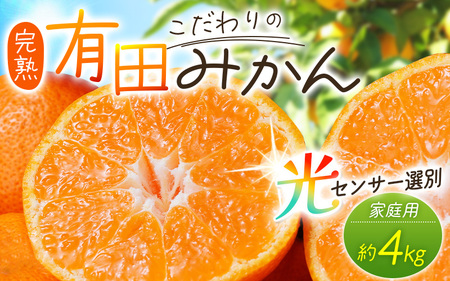 【2025年12月分】 ＼光センサー選別／ 【農家直送】【家庭用】こだわりの有田みかん 約4kg＋250g(傷み補償分) 先行予約 有機質肥料100% サイズ混合 【12月発送】みかん ミカン 有田みかん 温州みかん 柑橘 有田 和歌山【nuk148-12】