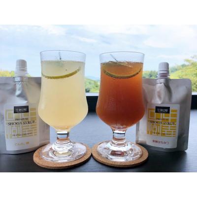 ふるさと納税 福津市 プレミアムしょうがシロップ2種セット(黒糖蜂蜜・てんさい糖)120g×2本[F4486s]