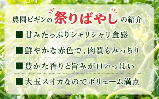 小千谷産大玉スイカ。肉質がやや柔らかめでシャリ感とみずみずしさは十分です！