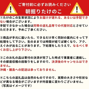 京都山城産 朝掘りたけのこ 2kg (4月発送) 【 たけのこ 】
