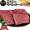 【ふるさと納税】【黒毛和牛】モモステーキ800g(200g×4枚) - 国産 黒毛和牛 モモステーキ 200g×2枚×2パック 牛肉 モモ 赤身 ステーキ 急速冷凍 送料無料 18-4210【宮崎県都城市は2年連続ふるさと納税日本一！】