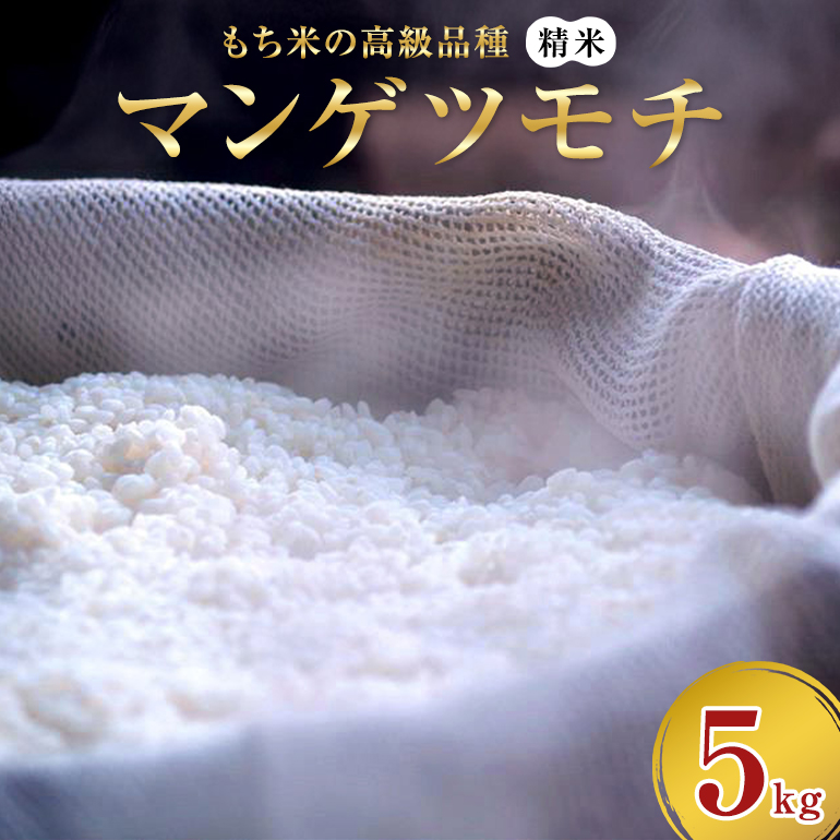 マンゲツモチ 精米 5kg もち米の高級品種 69-T