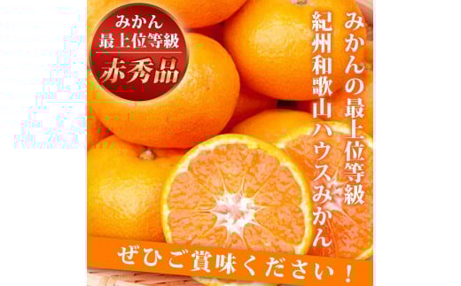 
            赤秀品 紀州和歌山ハウスみかん 2.5kg［2026年6月末頃～2026年7月中旬頃に順次発送］［UT87］
          