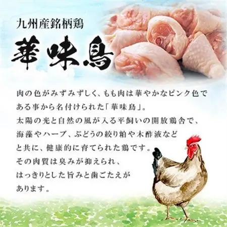 博多華味鳥 水たきセット 3～4人前 ちゃんぽん麺付(大野城市)【配送不可地域：離島】【1641902】