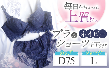 ブラ＆ショーツ 上下セット ネイビー D75＆ショーツ L | 女性用下着 レディース ブラ＆ショーツ ブラ ショーツ ネイビー 上下セット 君津市 きみつ 千葉県