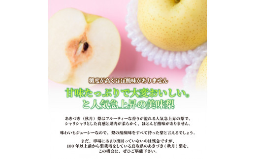 DS-05　あきづき梨 5kg