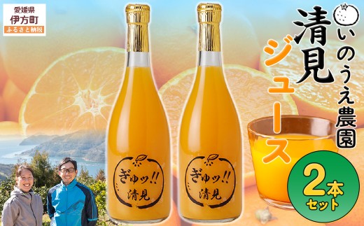 いのうえ農園 清見ジュース2本セット ※離島への配送不可  【ふるさと納税 人気 おすすめ ランキング 柑橘 みかん ミカン 蜜柑 ジュース ミカンジュース みかんジュース 清見 清見ジュース フルーツ 果物 産地直送 いのうえ農園 愛媛県産 愛媛県 伊方町 送料無料】 IKTAI016