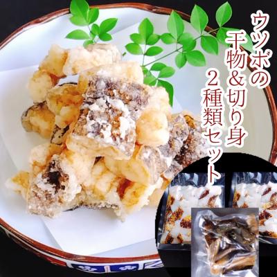 ふるさと納税 土佐清水市 からあげ用ウツボ2種類セット   カット干物(100g)&amp;切り身生(200g×2P)【R00363】