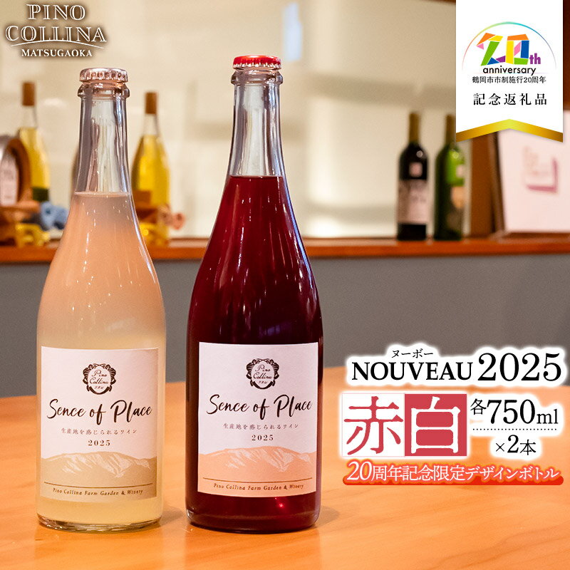 【ふるさと納税】【令和7年発送 先行予約】鶴岡産ワイン　2025年ヌーボーROUGE（赤）・BLANC（白）　750ml×2本　【市制施行20周年記念返礼品】　エルサンワイナリー