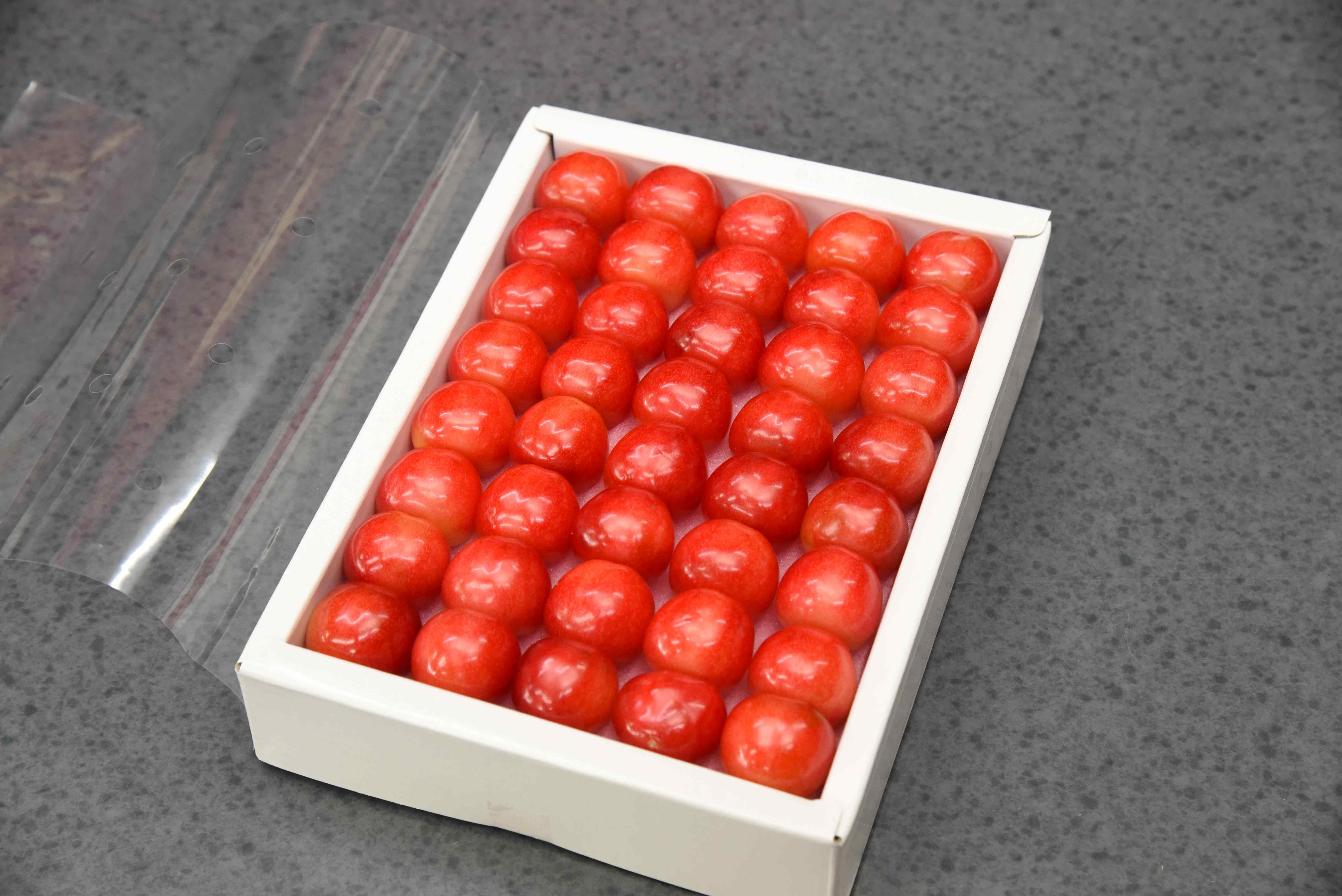 
                  08-10-031　さくらんぼ(紅秀峰) 特秀 3L 300g化粧箱入り
                