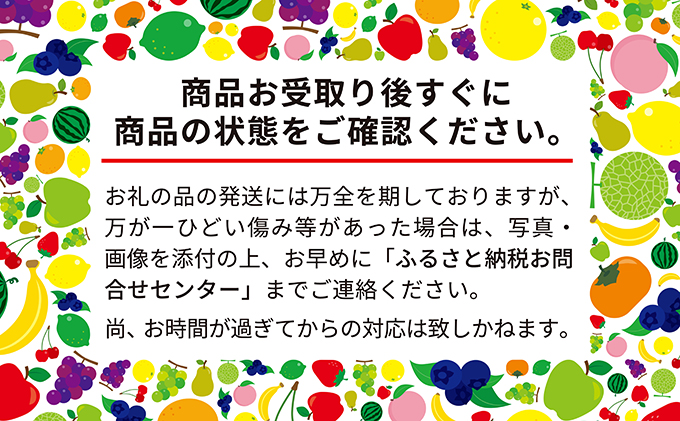 【創業記念】地元富良野産赤肉メロン秀品L玉(1.6kg以上)×2玉と記念品付き感謝セット