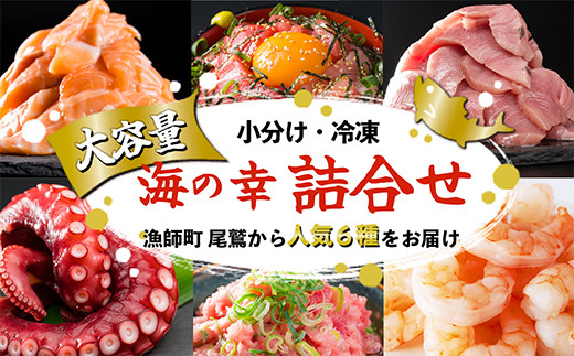 漁師町 尾鷲 からお届け！ 海の幸 大容量便 人気 6種 詰合せ ＜限定500セット＞ 大容量 小分け 冷凍 バラ凍結 たっぷり ストック 便利 新鮮 鮮魚 さけ しゃけ 鮭 サーモン アトランティッ