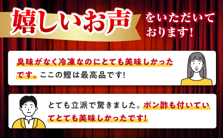 【12回定期便】鰹塩たたきセット 6~8名分 / 鰹 たたき 鰹たたき 鰹のたたき 鰹 たたき 鰹たたき 鰹のたたき[ATAD052]