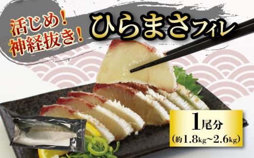 活じめ！神経抜き！ひらまさフィレ1尾分 (約1.8～2.6㎏) | 鮮魚 刺身 お刺身 お刺し身 魚介 海の幸 冷蔵 ひらまさ ヒラマサ 愛媛県 松山市