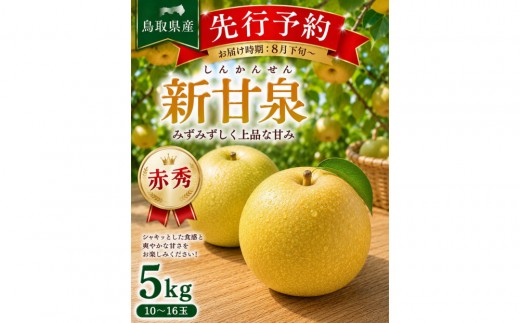 
                  東商果樹園 新甘泉(赤秀)5kg(８月下旬から発送）｜国産 新甘泉 梨 国産梨 国産新甘泉 梨  新甘泉 鳥取県産新甘泉 鳥取県産梨 梨先行予約 新甘泉先行予約 新鮮 旬 フルーツ 果物 くだもの 和梨 新甘泉 しんかんせん 人気 甘い 三朝町　送料無料　
                