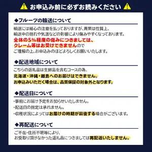 九州・福岡フルーツ王国八女　お試し旬のフルーツ定期便【全２回】 B｜＜配送不可：北海道・沖縄・離島＞　072-T016