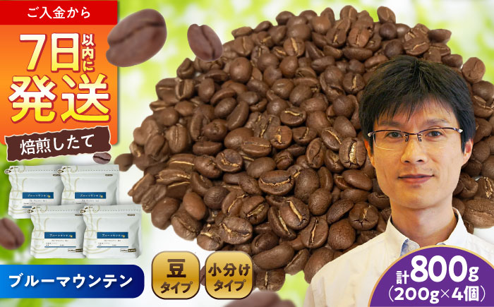 ブルーマウンテンNo.1 コーヒー豆 200g×4個 (豆) / 珈琲 コーヒー 豆 / 瀬戸市 / Ｃｏｆｆｅｅ　ＳＡＫＵＲＡ [BBAB082] 【豆】800g
