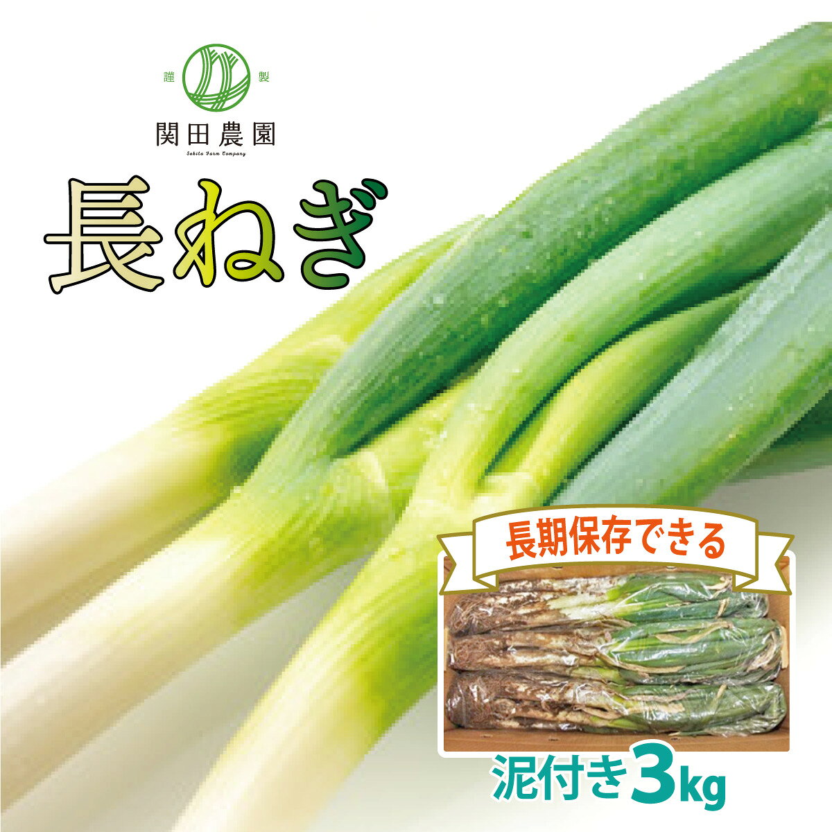【ふるさと納税】関田農園の「厳選　長ねぎ（泥付き）」箱3kg | 国産 長ネギ 白ねぎ 甘い やわらかい 新鮮 採れたて 農場直送 産地直送 冬野菜 鍋 薬味 焼きねぎ 味噌汁 有機肥料 土づくり 常温便 長期保存 旬野菜 太い 大容量 鮮度 関田農園 白岡市