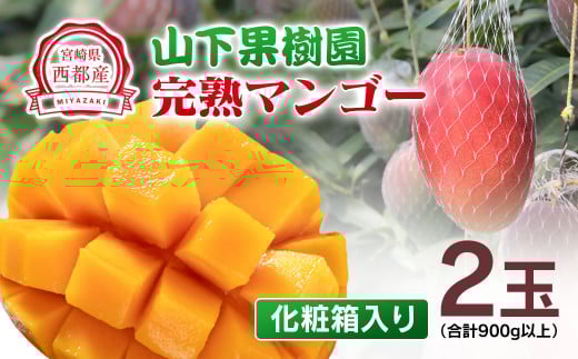 【マンゴー専門 山下果樹園】完熟マンゴー 2玉 合計900g以上 宮崎県西都産 生産者直送【先行予約】＜61-2a＞