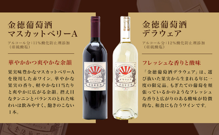 金徳葡萄酒 飲み比べセット マスカットベリーA デラウエア メルロ シャルドネ カベルネソーヴィニヨン ロゼ 各750ml×1本 計6本 株式会社河内ワイン《30日以内に出荷予定(土日祝除く)》｜ワイ