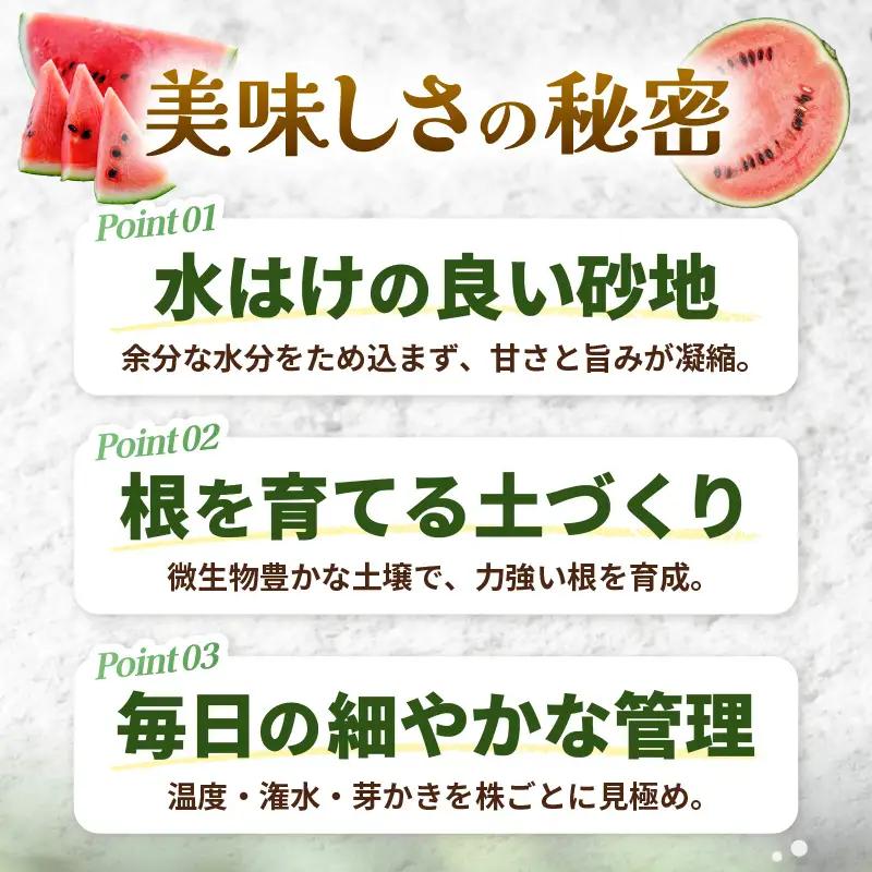 先行予約  大玉スイカ (赤肉) 1玉 糖度11.5度以上 2026年6月上旬以降順次発送予定 [A-22103]
