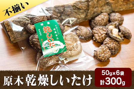 やかげの「原木乾燥しいたけ」 不揃い