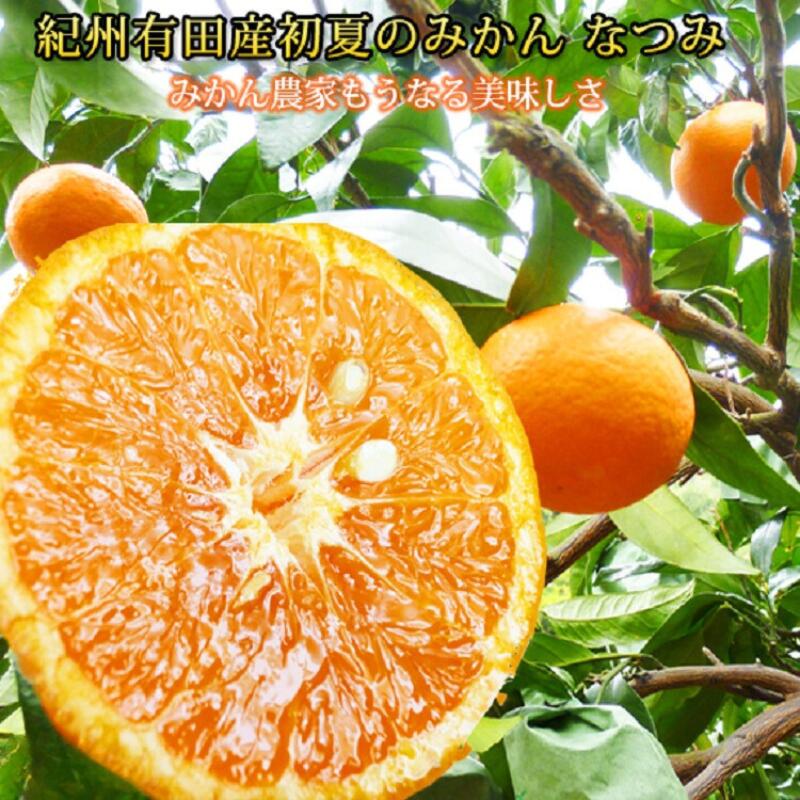 【ふるさと納税】初夏のみかん　なつみ 【選べる容量】 ※2026年4月中旬頃～4月下旬頃順次発送（お届け日指定不可）