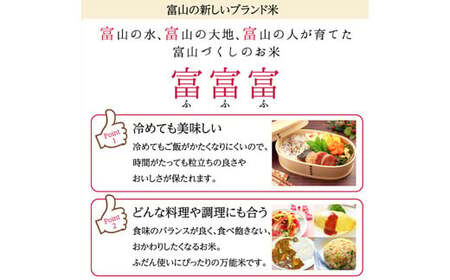 富山県ブランド米 富富富 玄米 10kg ふふふ ブランド米 国産 米 お米 日本米 ギフト 贈り物 備蓄 防災 食品 陽咲玲 はるざれ F6T-947