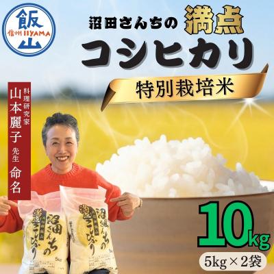 ふるさと納税 飯山市 【令和7年産米】沼田さんちの満点 こしひかり 精米 10kg (5kg×2袋)