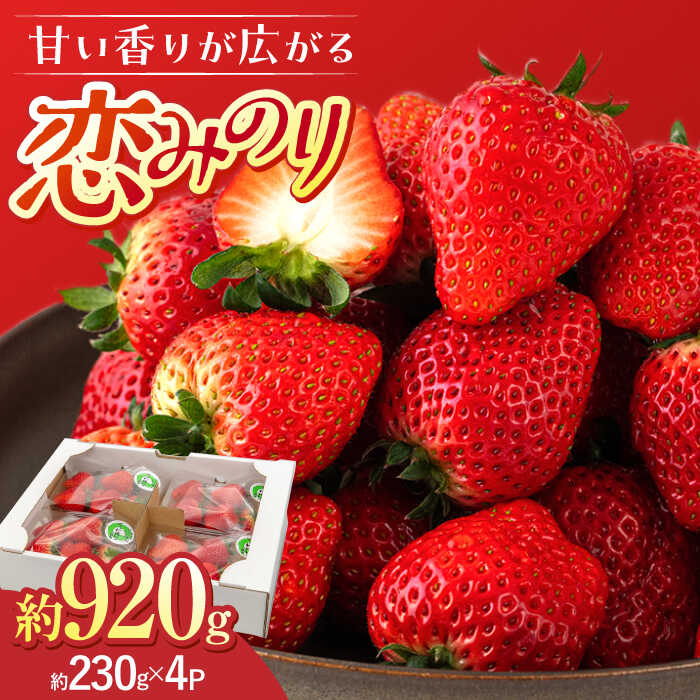 【ふるさと納税】【先行受付】「恋みのり」大塚ファームのいちご 約230g×4パック ▼ 恋みのり いちご イチゴ 苺 福岡県産 ギフト 贈り物 産地直送 新鮮 果物 フルーツ 果実 4パック 贈答 いちご 桂川町/大塚ファーム[ADAB001] 10000 10000円 1万円 以上