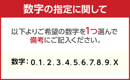 アクリルナンバーチャーム ブラック 0 1 2 3 4 5 6 7 8 9 X 番号 大きい キーホルダー アクセサリー プレゼント ギフト 贈り物 福岡 九州 福岡県 メール便（ポスト投函）