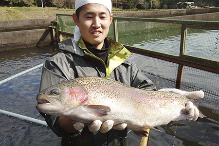 栃木県のブランド魚「プレミアムヤシオマス」の切身セット 味噌漬、塩麹漬、刺身(生食用)｜鮮魚 鱒 国産 産地直送 [0366]