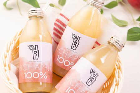 《定期便3ヶ月》RICH APPLE りんごジュース12本セット（250ml×12本×3回）【飲料類 果汁飲料】