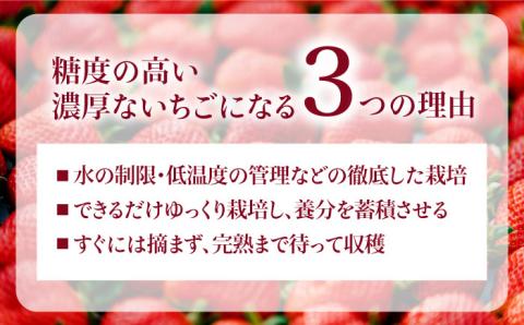 【予約：2024年1月上旬より順次発送】完熟あまおう 270g×4パック ≪糸島≫【slowberry strawberry】いちご/苺/フルーツ/果物 [APJ001]