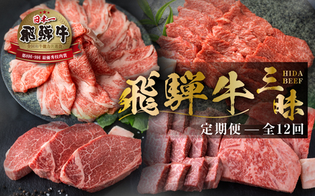 【まるごと定期便】 飛騨牛三昧 全12回 お届け 定期便 [S524]