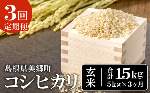 
            【定期便3ヶ月】令和5年産 石見地方 美郷町産 コシヒカリ 玄米 5kg【令和5年度産 定期便 3回定期 米 玄米 ブランド米 こしひかり 5kg×3回 合計15kg 2023年産】
          