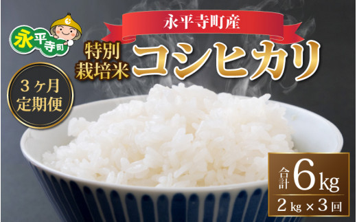 【3ヶ月連続お届け】【白米】 令和6年度産 永平寺町産 農薬不使用・化学肥料不使用 特別栽培米 コシヒカリ 2kg×3ヶ月（計6kg）[B-033012]  米定期便 定期便 頒布会