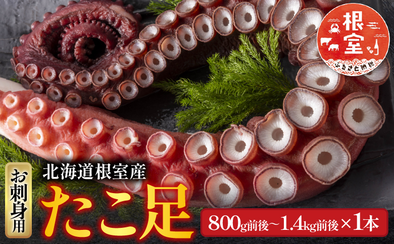 【北海道根室産】たこ足800g前後～1.4kg前後×1本 A-70051