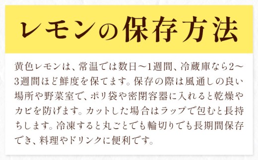 レモン 訳あり 黄色 檸檬 9kg (1kgあたり5-12玉前後) 株式会社農業福祉研究機構《2026年12月上旬-2027年2月上旬頃出荷》和歌山県 紀の川市 フルーツ 果物 お取り寄せフルーツ