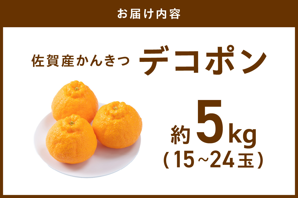 佐賀産 デコポン 約5kg (15-24玉) (伊万里市) 柑橘類 147-B803