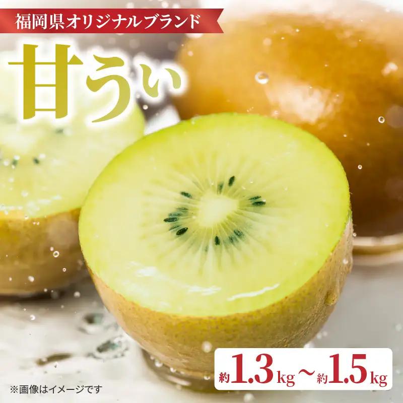 【先行受付：2026年11月頃発送開始】福岡限定品種キウイ「甘うぃ」約1.3～1.5kg <配送不可地域：北海道・沖縄・離島> 先行受付 キウイ キウイフルーツ フルーツ 果物 くだもの 甘い 高糖度 希少 オリジナル品種 新品種 新ブランド 福岡県 八女市 072-194