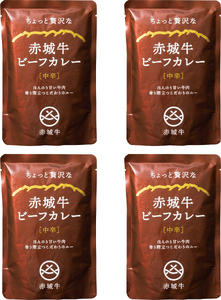 【赤城牛ビーフカレー】ちょっと贅沢な赤城牛ビーフカレー　中辛　180g×4個 カレー ビーフカレー 赤城牛 レトルトカレー 牛肉カレー