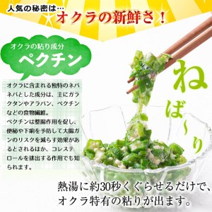 【数量限定】鹿児島県産 冷凍オクラスライス150g×6袋(900g) オクラ 野菜 冷凍 カット カット野菜 国産 簡単 手軽 サラダ 味噌汁 スープ a0-118