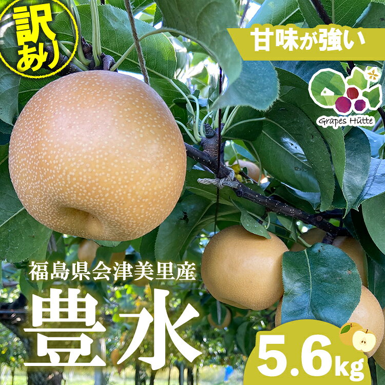 【ふるさと納税】【先行受付】《訳あり》会津の美味しい梨 豊水 約5.6kg（10玉～12玉） | 期間限定 家庭用 梨 なし ナシ 果物 フルーツ 甘い ジューシー 果実 くだもの 国産 果実 会津美里町産 ※2026年9月～発送